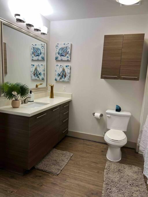 Lovely 1 Bedroom Apt Midtown Htx Χιούστον Εξωτερικό φωτογραφία